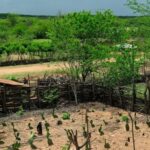 Bahia protagonizou mais de 171 conflitos no campo em 2024, aponta relatório da CPT