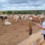 Jerônimo envia PL à AL-BA para reestruturar carreiras de fiscais e técnicos agropecuários