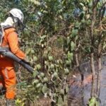 Bombeiros combatem focos em cinco cidades baianas há mais de 24h