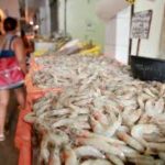 Jerônimo autoriza obras de recuperação do atracadouro do Mercado de Peixes da Feira de São Joaquim, em Salvador