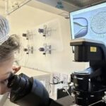 MPF abre investigação para cobrar do Ministério da Saúde inclusão de fertilização in vitro no SUS na Bahia