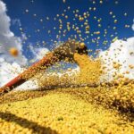 Agro quer financiamento climático para produtores rurais e lista demandas à COP30