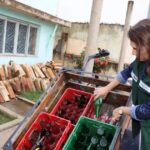 Bahia registra mais de 30 mil casos de dengue; estado realiza ações em semana nacional contra doença