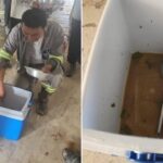 BYD e empreiteiras fecham acordo de R$ 40 milhões com o MPT em caso de trabalho escravo na Bahia