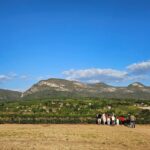 Bahia pode ganhar ‘Estrada das Vinícolas’; conheça