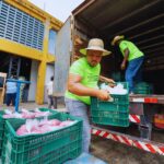 Sedap realizará entrega de sementes para mais de mil agricultores de Camaçari