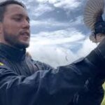 Mais de 10 mil animais são apreendidos em rodovias da Bahia, aponta Polícia Rodoviária Federal