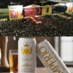 Império será a cerveja oficial do Camaforró 2026