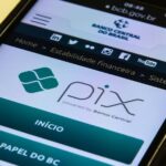 Pix tem a aprovação de 93% da população e é mais usado por jovens e brasileiros com maior renda