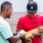 Campanha de vacinação antirrábica segue neste sábado em Abrantes, Arembepe e Barra do Jacuípe