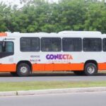 Conecta Camaçari: Transporte público é ampliado com mais cinco novas linhas na sede e na orla